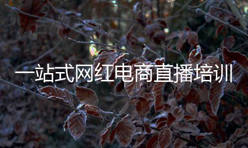 一站式网红电商直播培训,网红创业速成孵化营